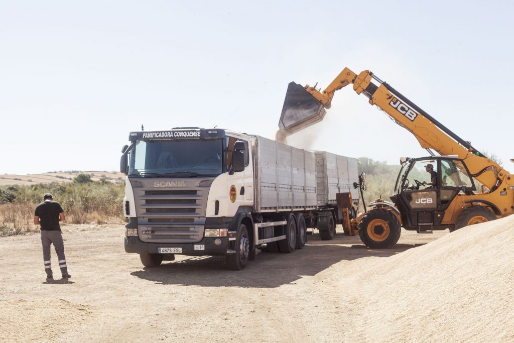 Bulldozer filling an articulated lorry with wheat grain. Harvest 2021. Madrid country. Spain © Juan San Sebastián.