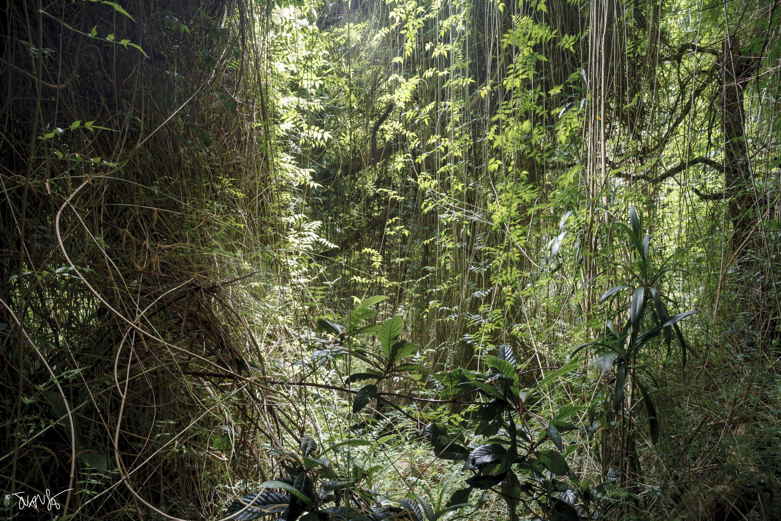 MG_8159 La Palma Island, 2021. ©JuanSe