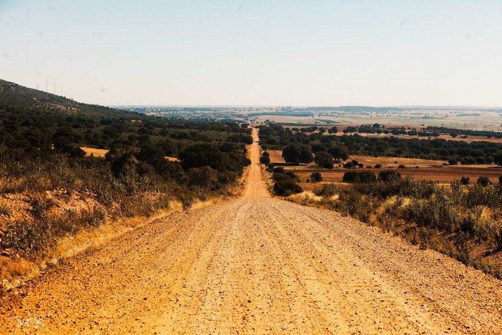 Tierra de Campos Tábara. Zamora
