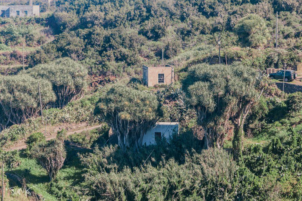 La Palma Island. Canary Islands. Spain. PHOTO Landscapes 2023 ©Juansebastian.es