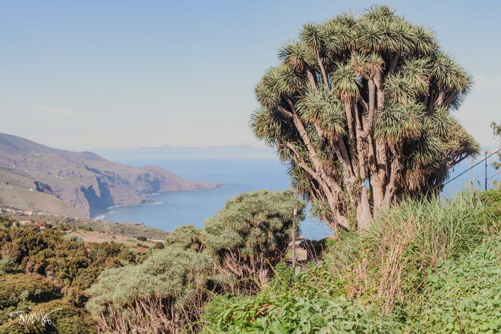 La Palma Island. Canary Islands. Spain. PHOTO Landscapes 2023 ©Juansebastian.es