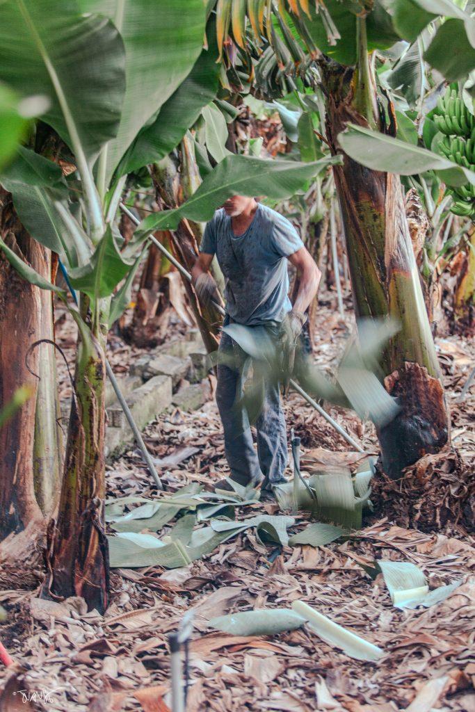 La Palma Island. Canary Islands. Spain. PHOTO Landscapes 2023 ©Juansebastian.es