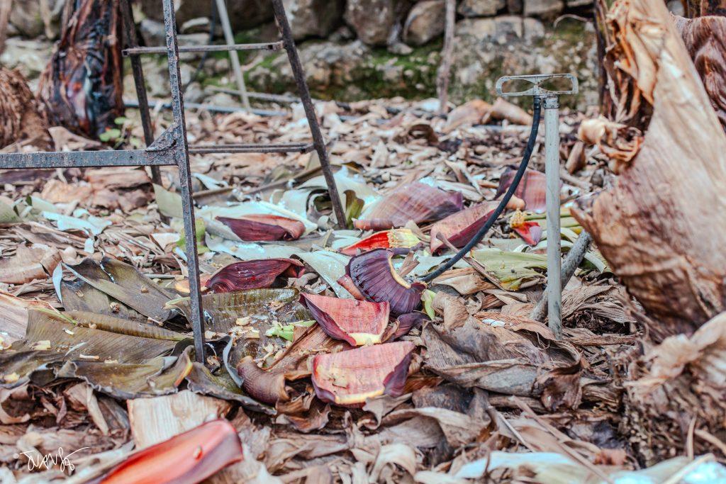 La Palma Island. Canary Islands. Spain. PHOTO Landscapes 2023 ©Juansebastian.es