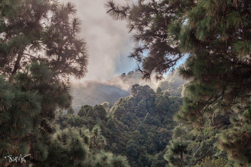 La Palma Island. Canary Islands. Spain. PHOTO Landscapes 2023 ©Juansebastian.es