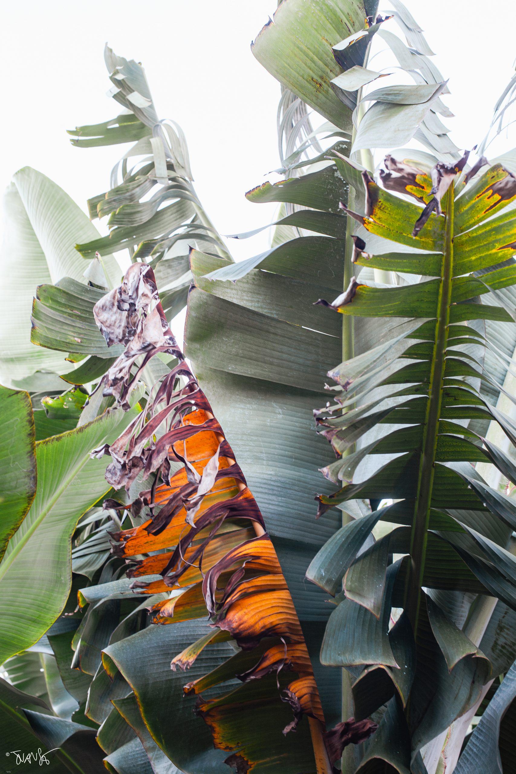 La Palma Island. Canary Islands. Spain. PHOTO Landscapes 2023 ©Juansebastian.es