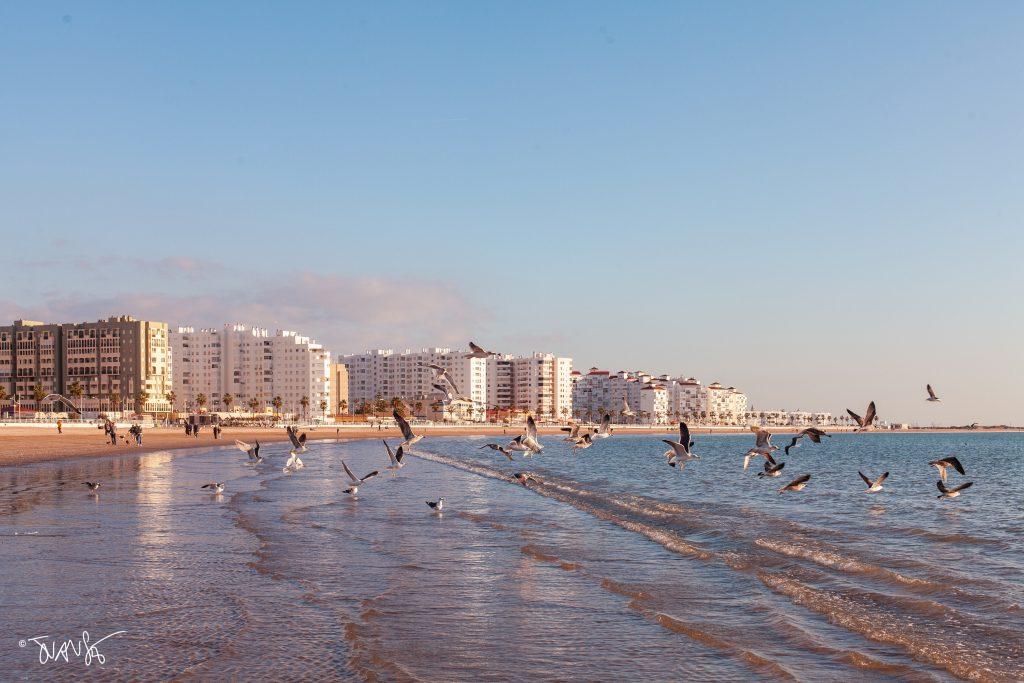 Valdelagrana beach, Cádiz. Spain
juansebastian.es
Jan 2023