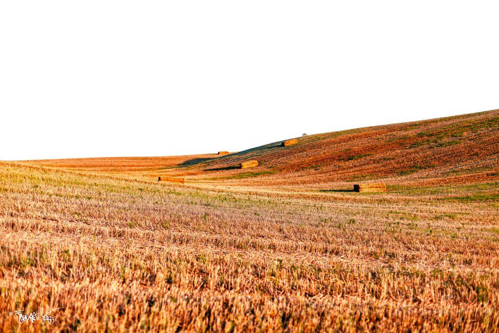 Human landscapes © Juanse 2023. juansebastian.es