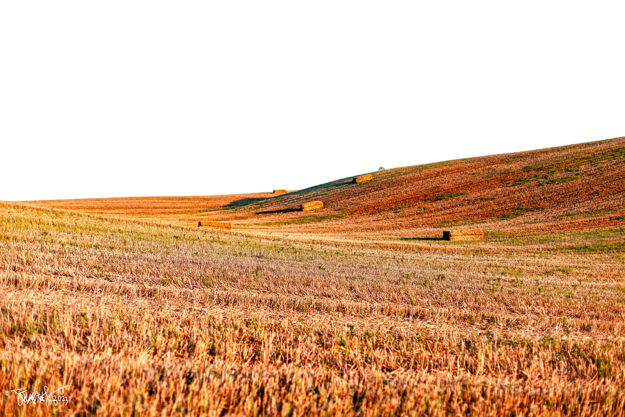 MG_5563-Enhanced-NR-low Human landscapes © Juanse 2023. juansebastian.es
