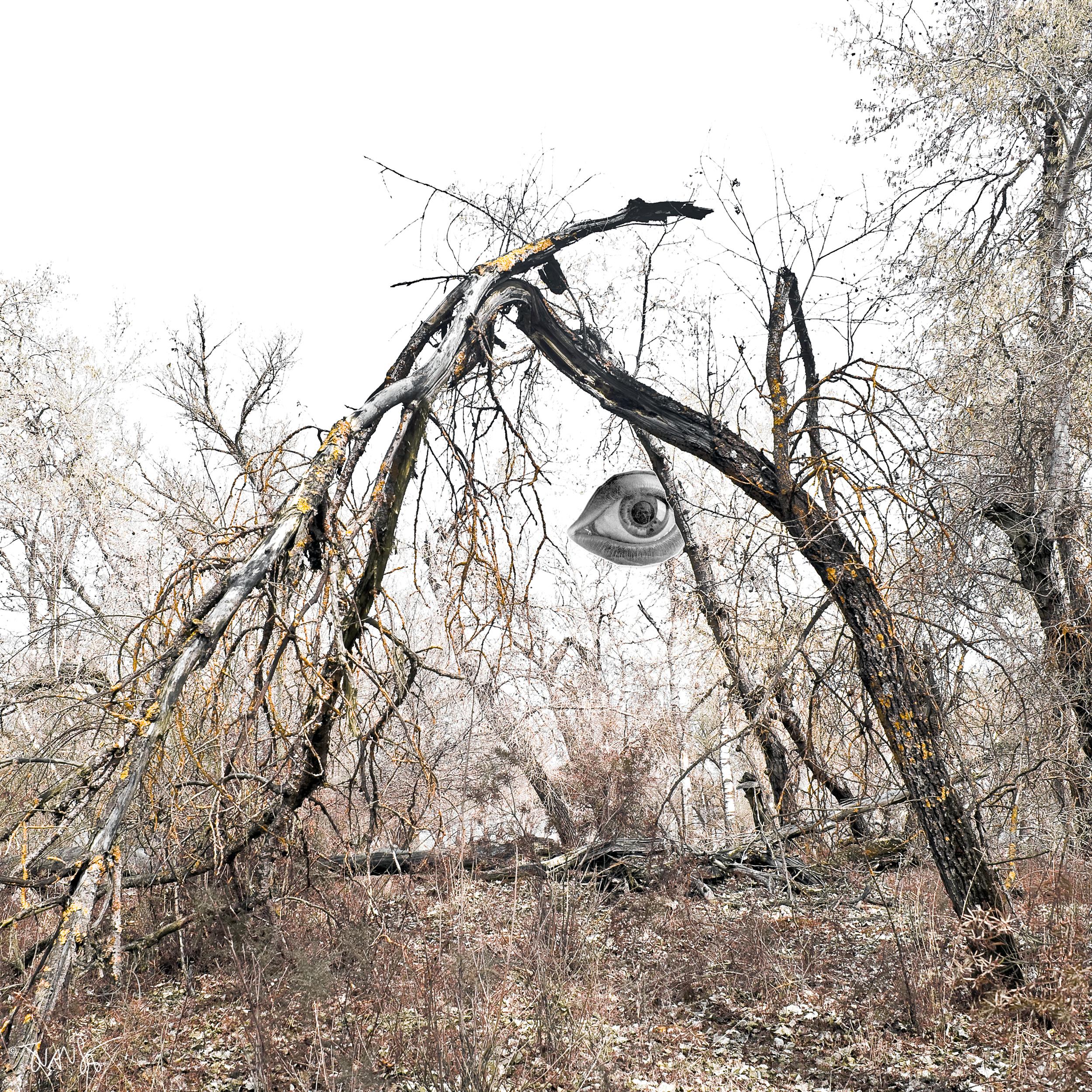 The eye deceives you. © Juanse, 2011. (collage)
Things aren't always what they seem.