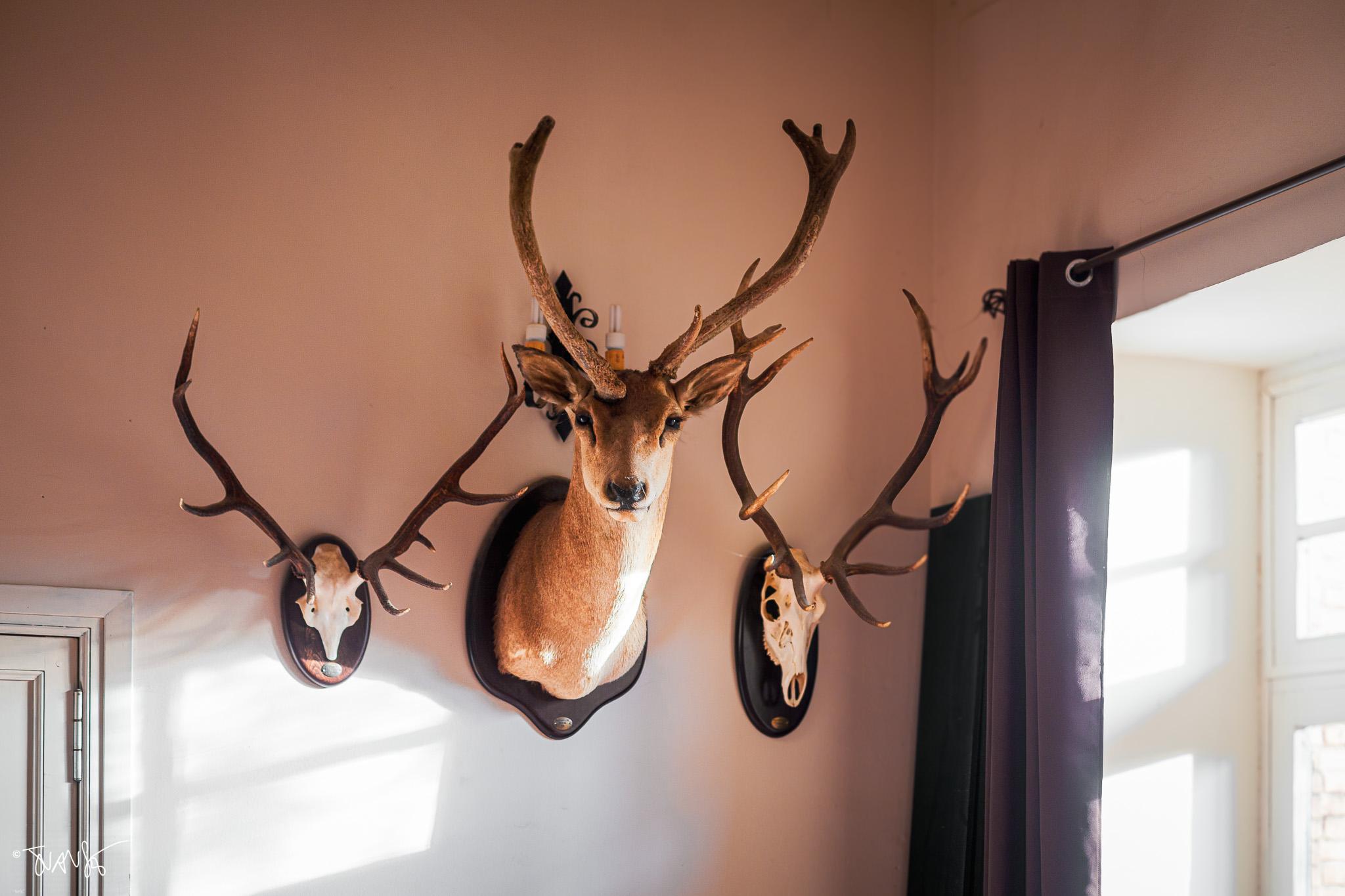 Setting up “Deco Masters” TV set