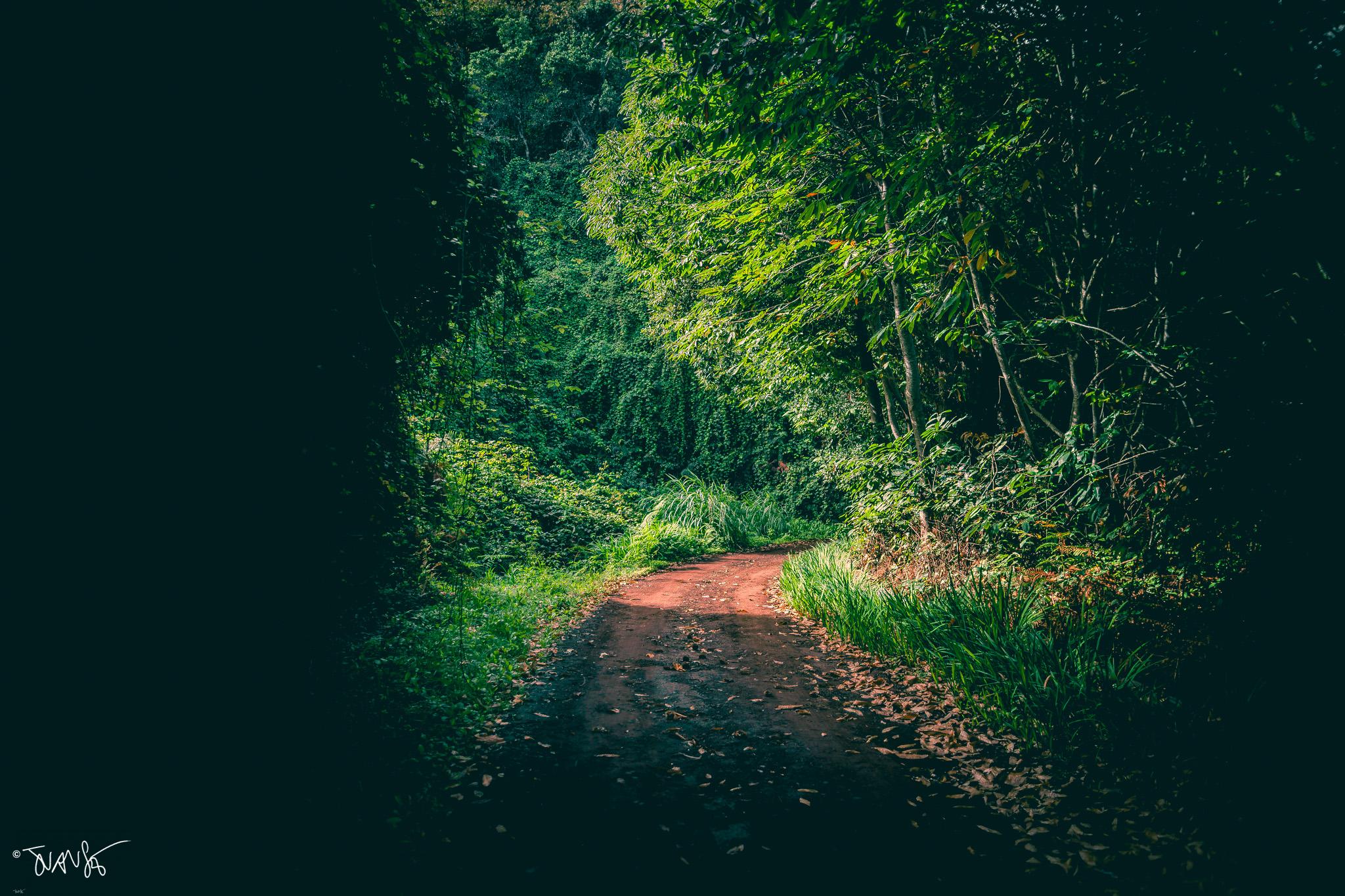 Go your own way